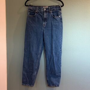 Everlane Classic Blue Straight Leg Jeans